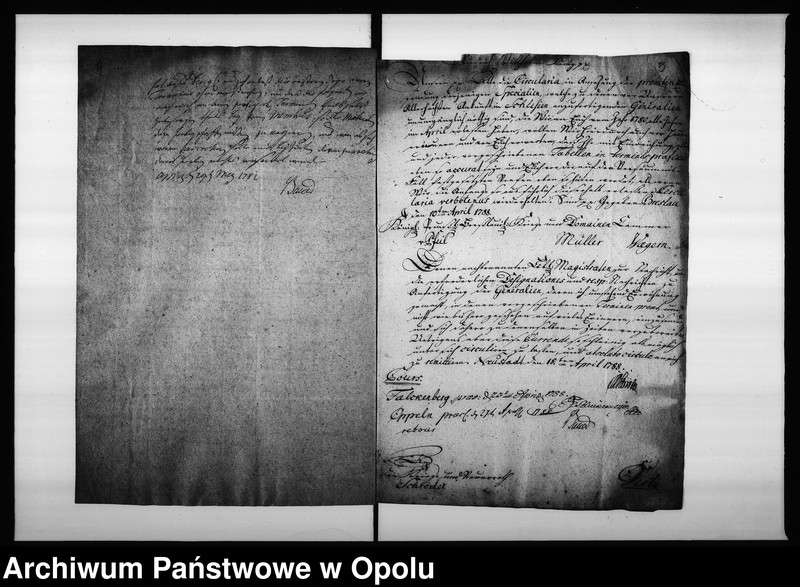 Obraz 8 z jednostki "Acta des Magistrats zu Oppeln von den Fixirten monatlichen Eingaben und der Termins Tabelle"