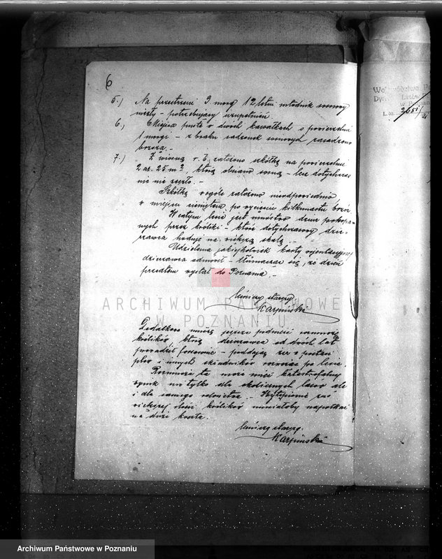 Obraz 11 z jednostki "Drzewostan na majątku państwowym Chwałkowo powiat średzki"