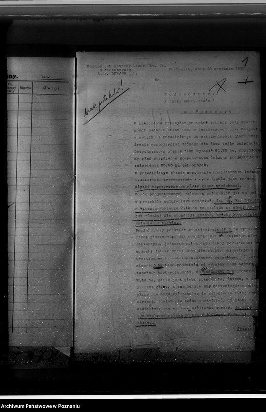 Obraz 5 z jednostki "Nadzór nad gospodarką w lasach majętności Jezierzyce"