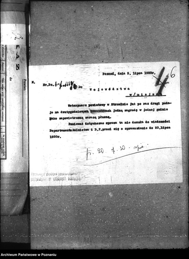 Obraz 10 z jednostki "Zaraza płucna - Strzelno"