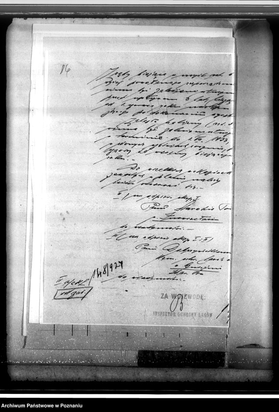 Obraz 20 z jednostki "Las majętności Wierzbiczany w powiecie inowrocławskim"