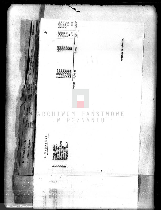 Obraz 12 z jednostki "/Sprawozdania z zalesienia nieużytków na terenie powiatu kępińskiego"