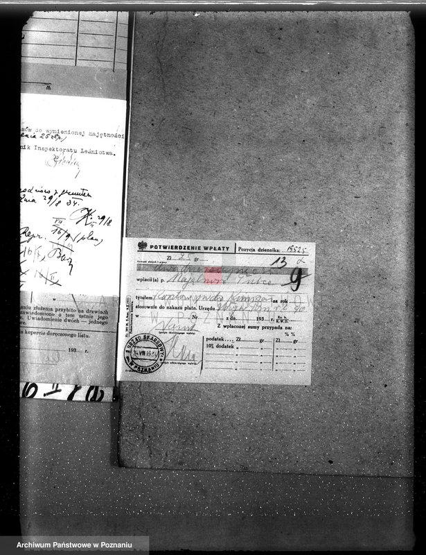 Obraz 17 z jednostki "Nadzór nad gospodarką w lasach majętności Tulce powiat średzki"