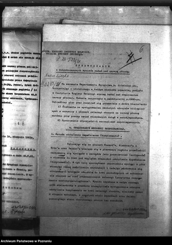 Obraz 10 z jednostki "Zaraza płucna - szczepienia ochronne"