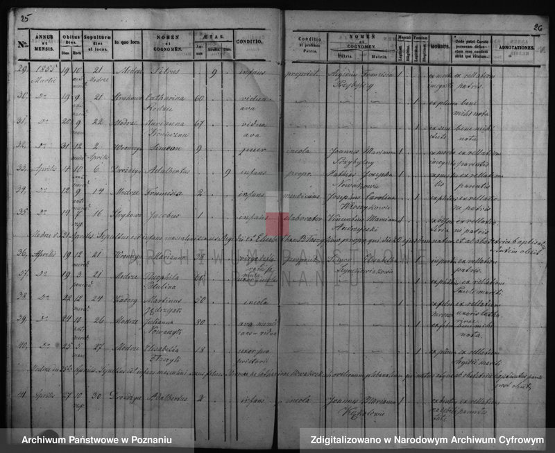 Obraz 18 z jednostki "Duplicatus baptisatorum, copulatorum, mortuorum"