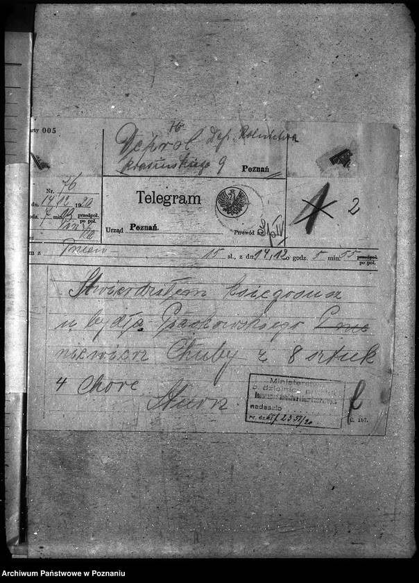 Obraz 6 z jednostki "Księgosusz - Szamotuły"