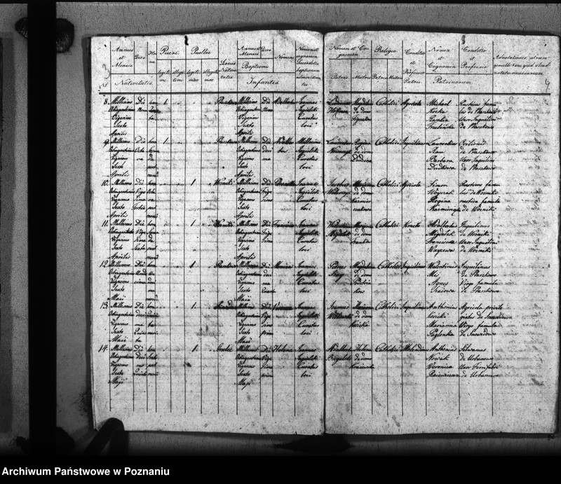 image.from.unit.number "Liber baptisatorum, copulatorum, mortuorum"