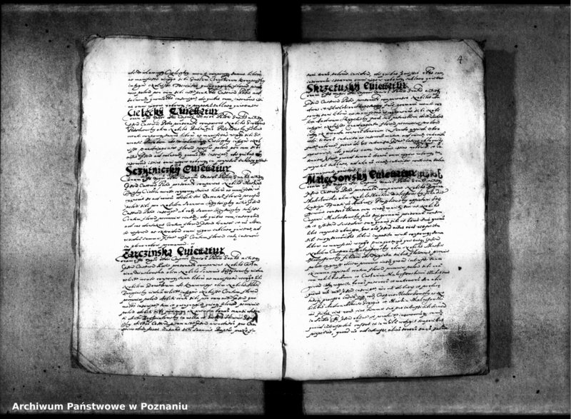 Obraz 9 z jednostki "Inscriptiones [inducta]"