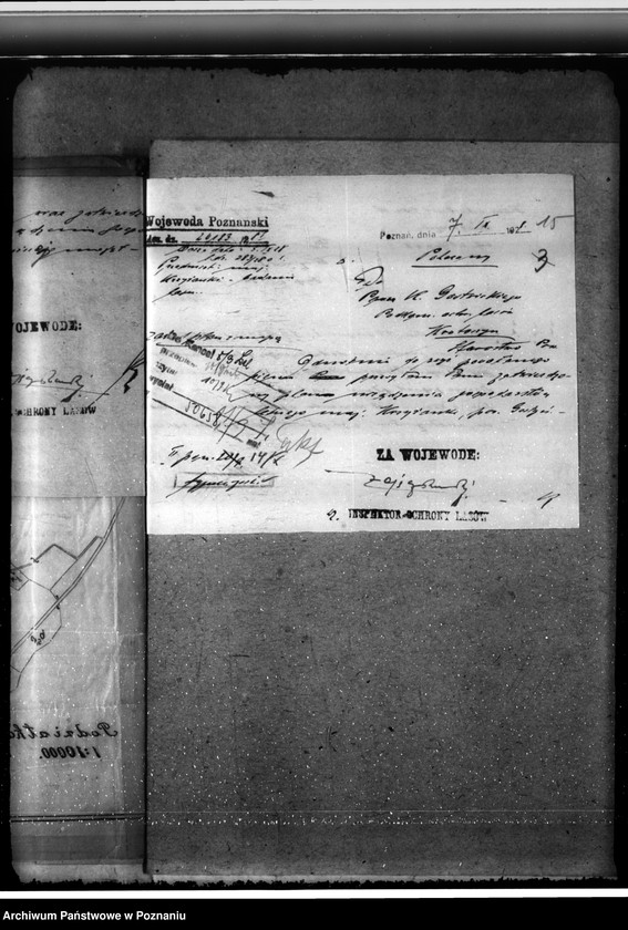 Obraz 19 z jednostki "Majętność leśna Krzyżanki w powiecie gostyńskim"