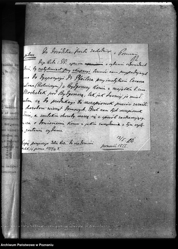 Obraz 16 z jednostki "Instytut Higieny Zwierząt w Bydgoszczy"