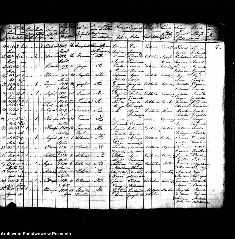 image.from.unit.number "Duplikat urodzonych, zmarłych, zaślubionych"