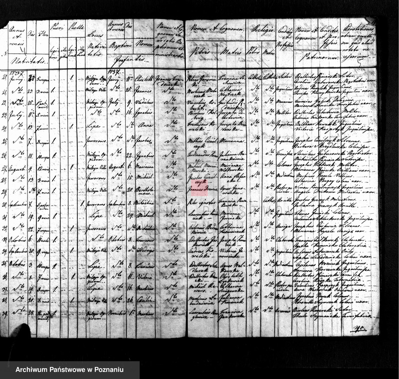 Obraz 3 z jednostki "Liber baptisatorum, copulatorum, mortuorum"