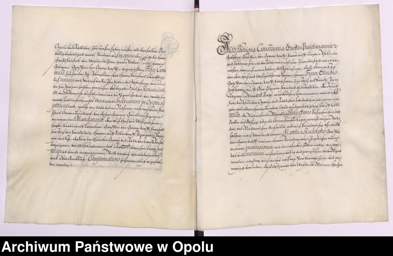 Obraz 13 z kolekcji "Testament Jerzego Oppersdorfa, właściciela Głogówka111"