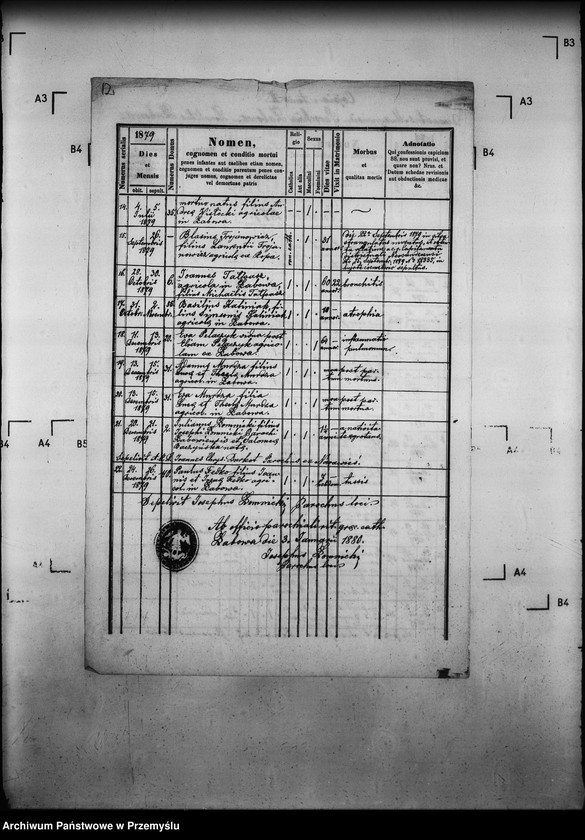 Obraz 16 z jednostki "[Kopie ksiąg metrykalnych parafii Łabowa z filiami Kotów, Łabowiec, Uhryń Niżny (dekanat Muszyna)]"