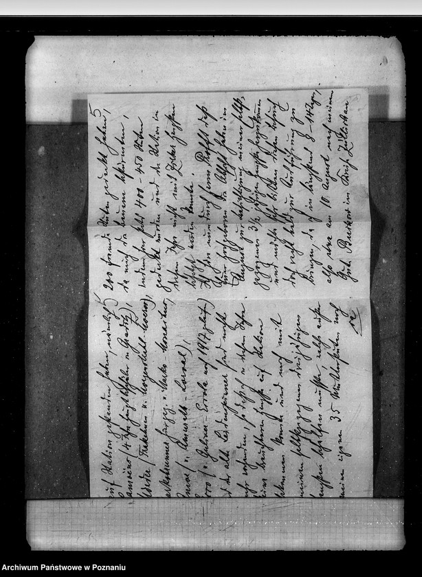 Obraz 9 z jednostki "Sprawy stadnin stadniny - ogólne zarządu stadnin"