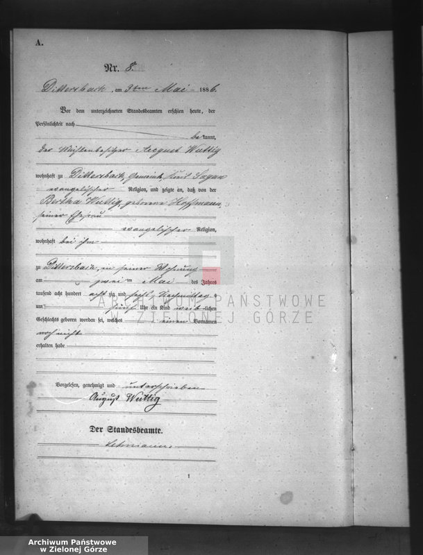 Obraz 11 z jednostki "[Księga aktów urodzeń]"