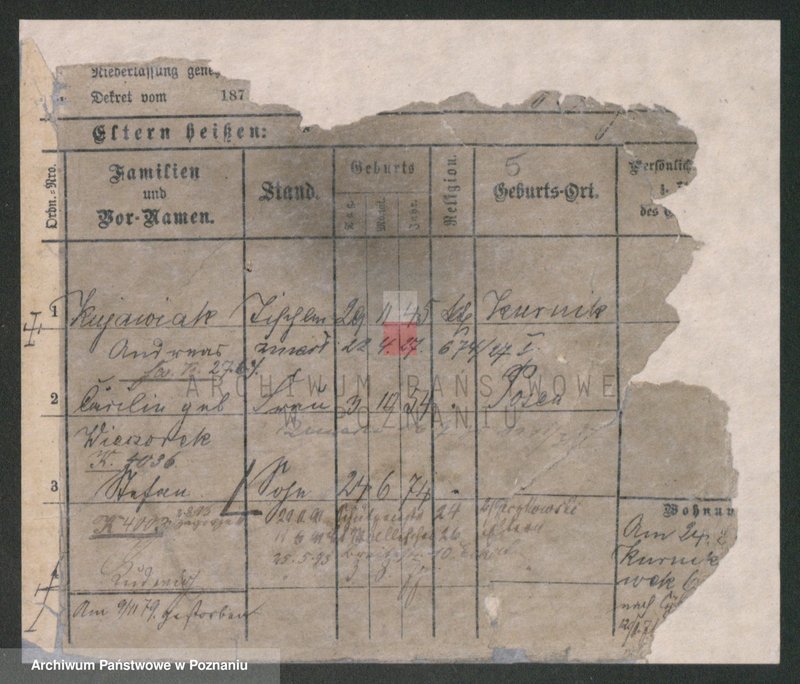 Obraz 5 z jednostki "Kujawiak - Kulas"