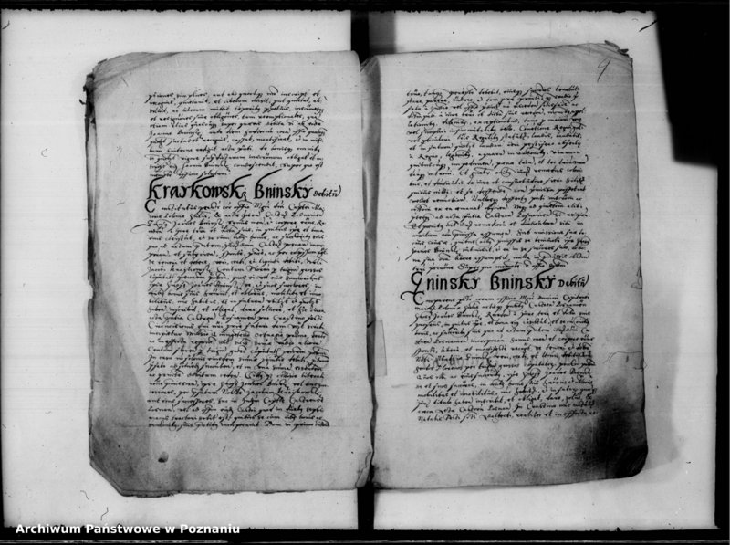 Obraz 5 z jednostki "Inscriptiones, relationes [inducta]"