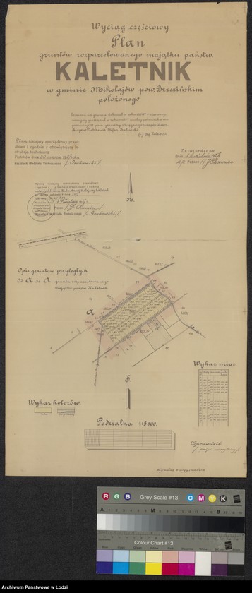 Obraz 1 z jednostki "Wyciąg częściowy. Plan gruntów rozparcelowanego majątku państwowego Kaletnik ..."