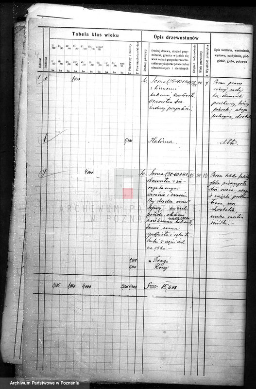Obraz 8 z jednostki "Plan urządzania gospodarstwa leśnego dla gminy miasta Czarnkowa"