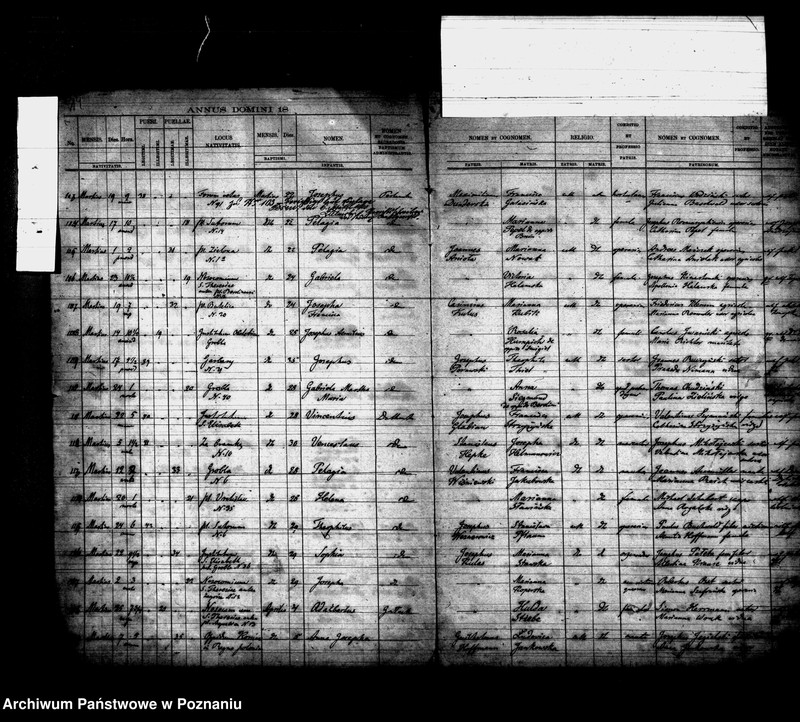 Obraz 9 z jednostki "Księga urodzin"