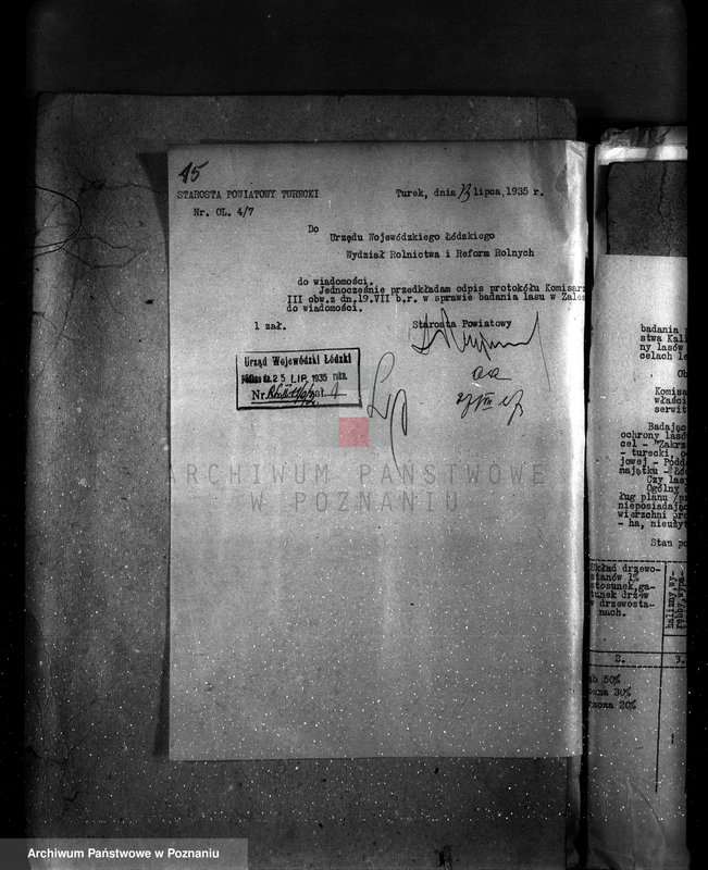 Obraz 20 z jednostki "Gmina Niewiesz powiat turecki /nadzór nad gospodarką leśną/"