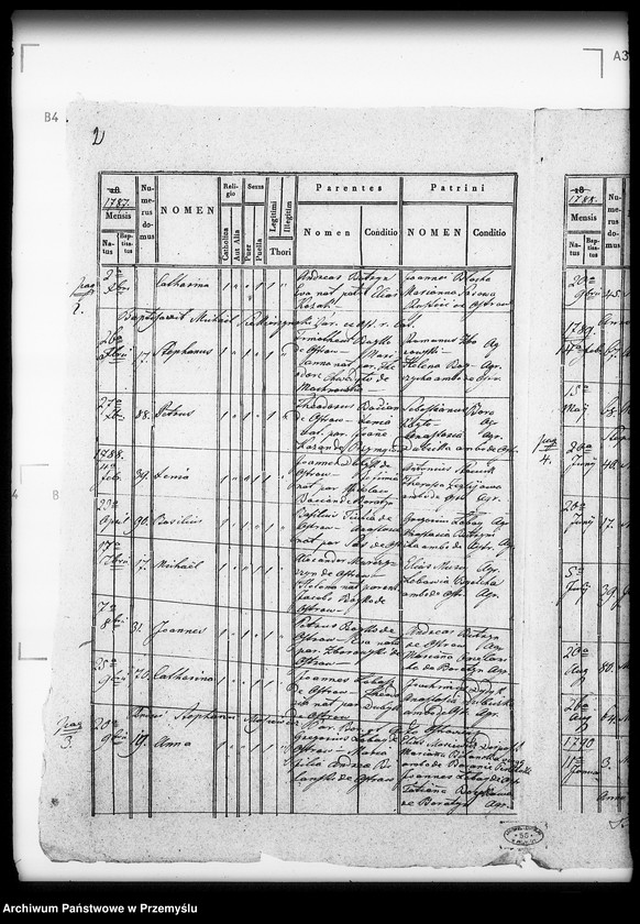 Obraz 6 z jednostki "[Kopie ksiąg metrykalnych parafii Boratyn z filią Ostrów (dekanat Bełz)]"