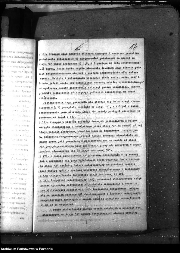 Obraz 20 z jednostki "Sprawy ogólne Wykazy chorób zaraźliwych,- księgosusz -"