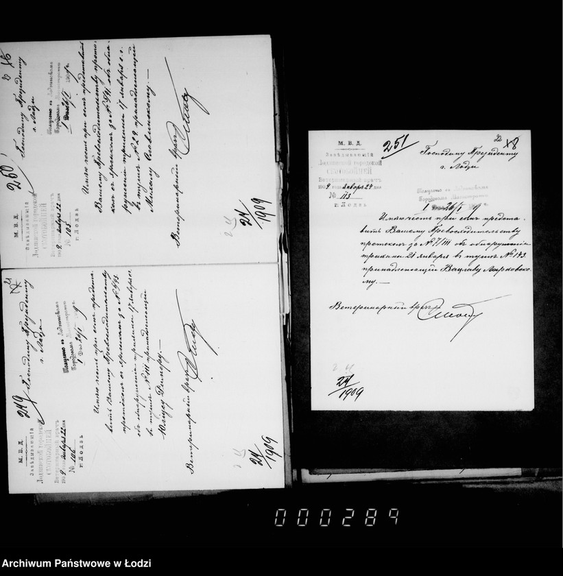 Obraz 14 z jednostki "O voznagraždenji za uničtožennyja na gorodskoj skotobojne trichinoznyja svinnyja tuši"