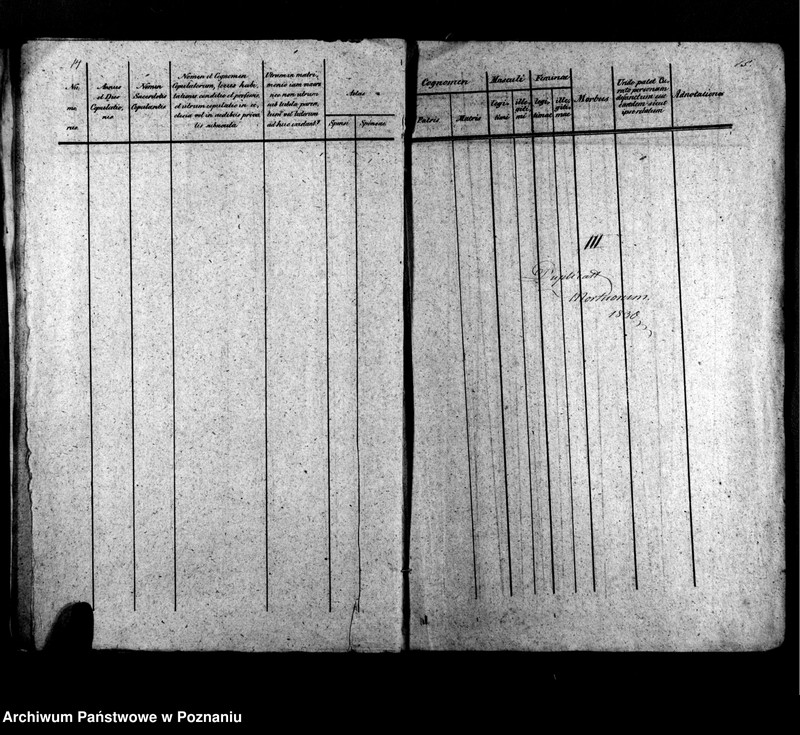 Obraz 11 z jednostki "Libri metrices baptisatorum, desponsatorum, mortuorum"