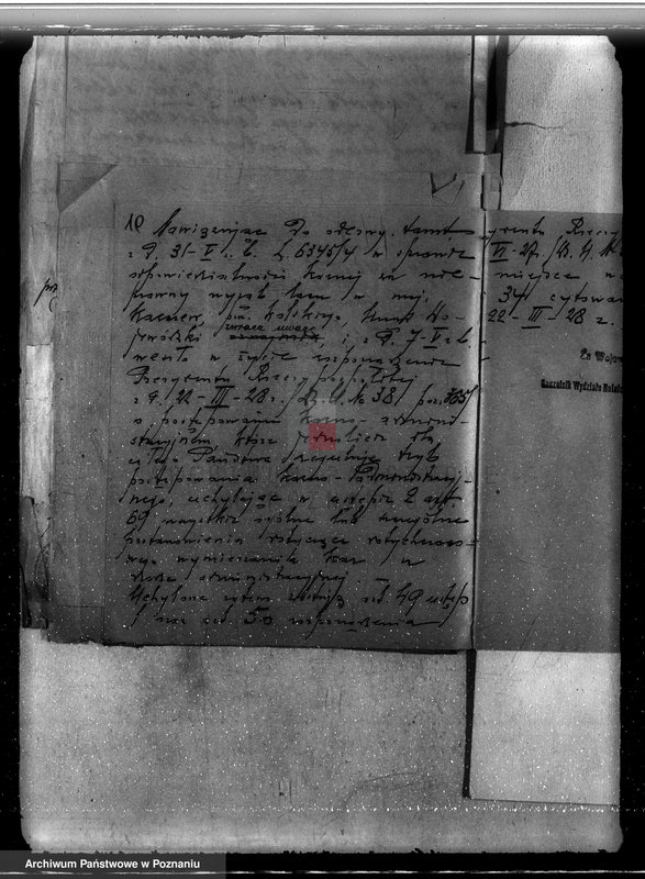 Obraz 14 z jednostki "Sprawa nieprawego wyrębu lasu w majątku Karczew w powiecie kolskim"