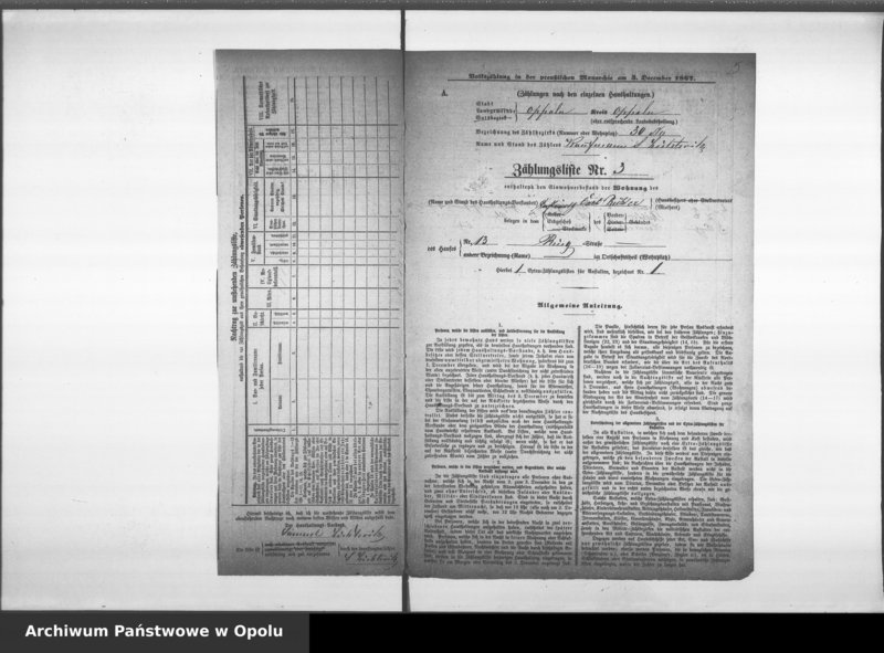Obraz 9 z jednostki "[Okręg spisowy Nr 30. Spis ludności, 3 XII 1867]"