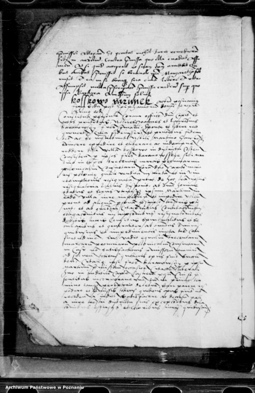 Obraz 14 z jednostki "Inscriptiones, relationes, decreta [inducta]"