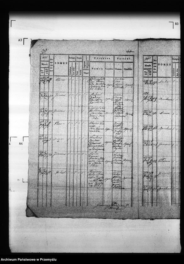 Obraz 7 z jednostki "[Kopie ksiąg metrykalnych parafii Hruszów z filiami Budomierz, Kłonice, Szczepłoty (dekanat Niemirów)]"