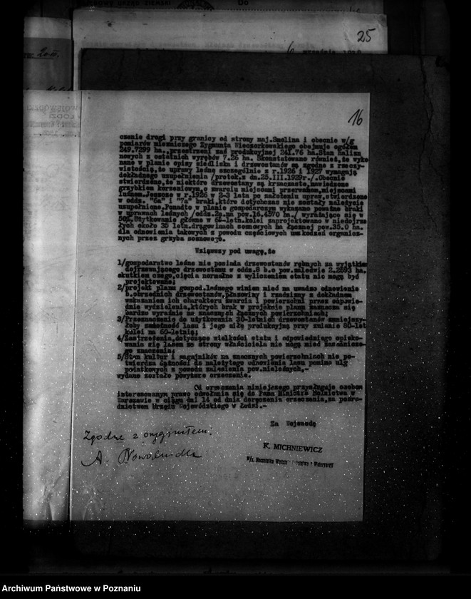 Obraz 20 z jednostki "Zatwierdzenie projektu planu gospodarczego dla lasu majątku Brudzew powiat turecki"