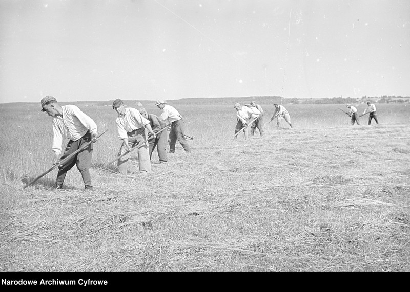 image.from.unit.number "Rolnictwo. Łąki, sianokosy"