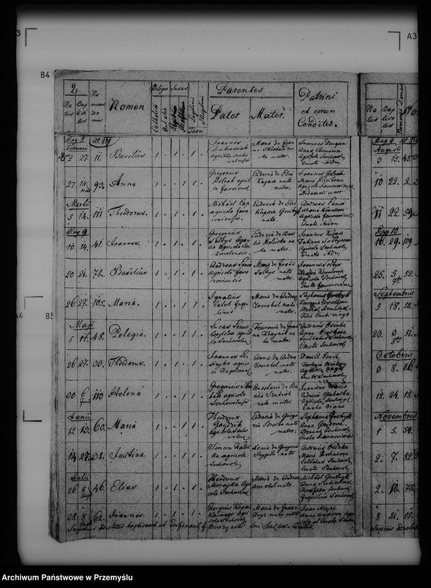 image.from.unit.number "[Kopie ksiąg metrykalnych parafii Seńkowa Wola (dekanat Buków)]"