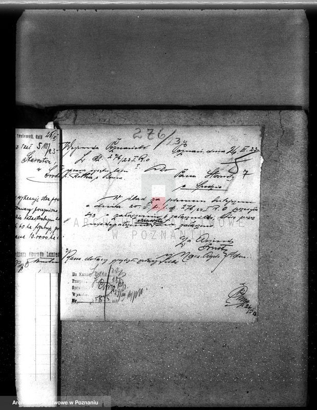 Obraz 11 z jednostki "Nadzór nad gospodarką w lasach majętności Borowo powiat średzki"