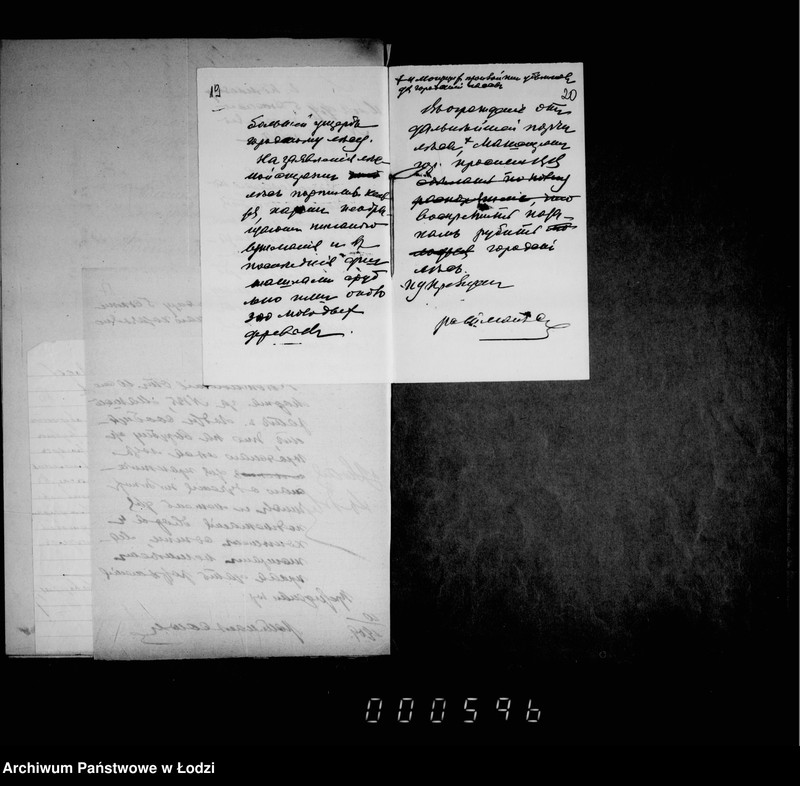 Obraz 18 z jednostki "O porubkach i kraže derevev v gorodskich gorodskich lesach"