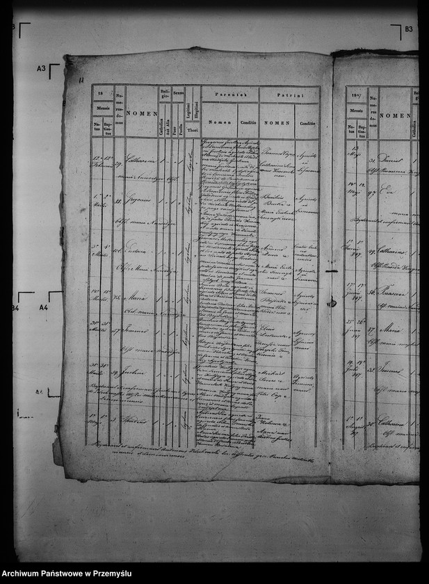 Obraz 16 z jednostki "[Kopie ksiąg metrykalnych parafii Mołoszkowice z filią Leśniowice (dekanat Jaworów)]"