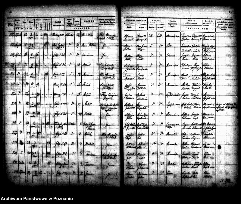 Obraz 20 z jednostki "Księga urodzin"