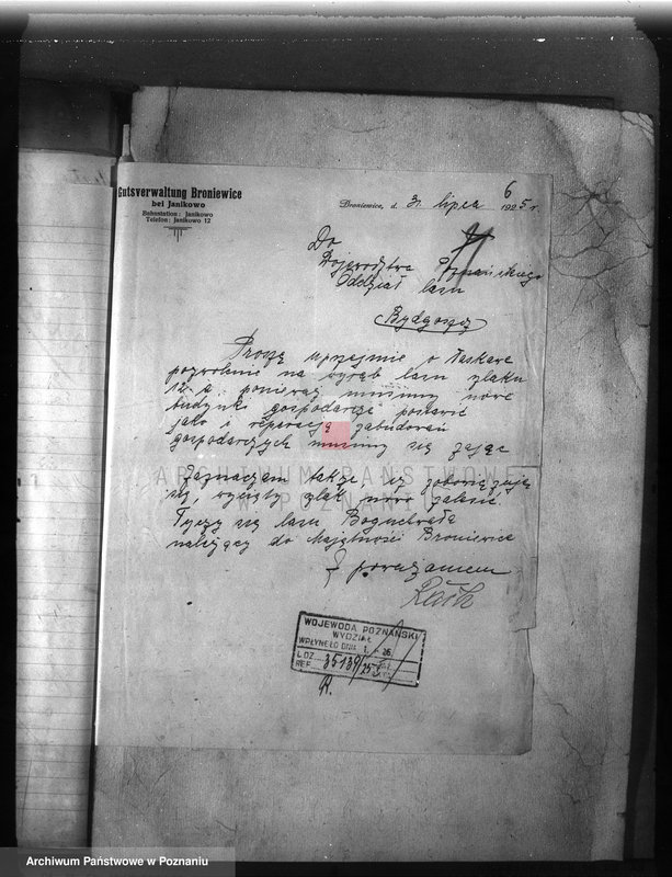 Obraz 10 z jednostki "Majętność leśna /Bronie wiec/ powiat mogileński"