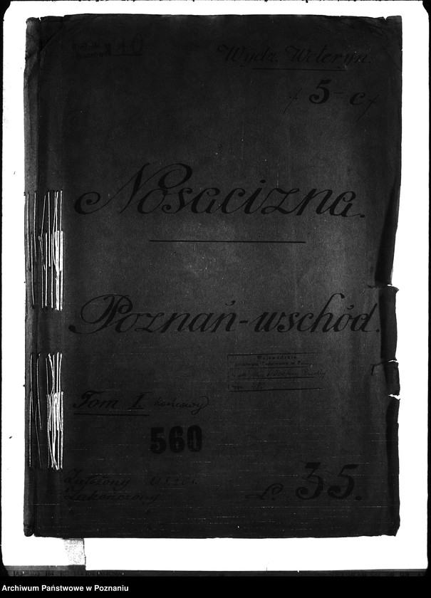 Obraz 4 z jednostki "Nosacizna - Poznań-Wschód"