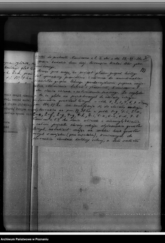 Obraz 16 z jednostki "Sprawa zmiany rodzaju użytków 180,87 ha gruntów leśnych w majątku Biskupiec-Wielki-Bór powiatu konińskiego dla celów gospodarstwa rolnego"