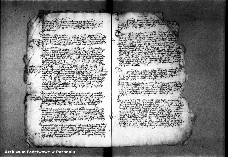 Obraz 11 z jednostki "Inscriptiones, relationes, decreta [protocollon]"