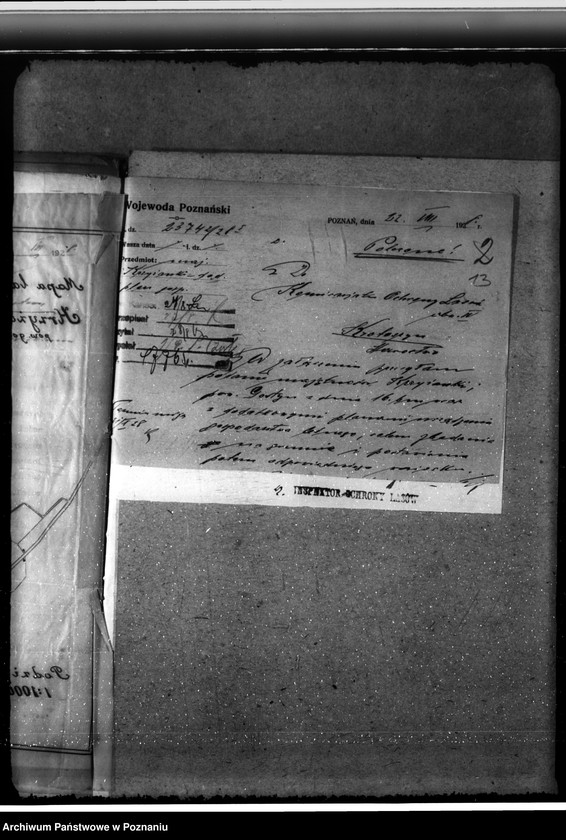 Obraz 17 z jednostki "Majętność leśna Krzyżanki w powiecie gostyńskim"