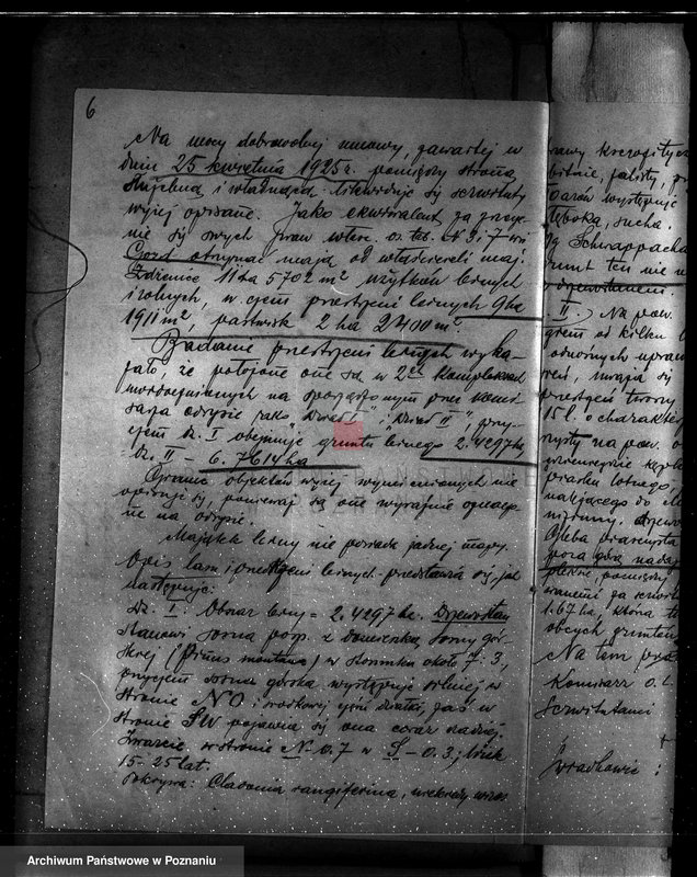 Obraz 10 z jednostki "Zmiana częściowej zmiany orzeczenia dotyczącego lasu majątku Zdzenice powiat turecki"