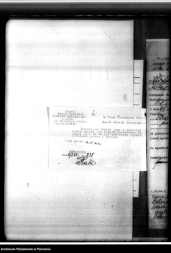 Obraz 6 z jednostki "Sprawa o niedostateczne zalesienie lasu 16,24 ha w majątku Tłokinia"