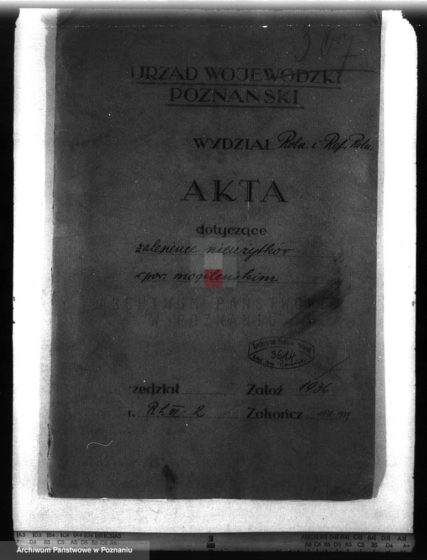 Obraz 4 z jednostki "Zalesienie nieużytków w powiecie mogileńskim"