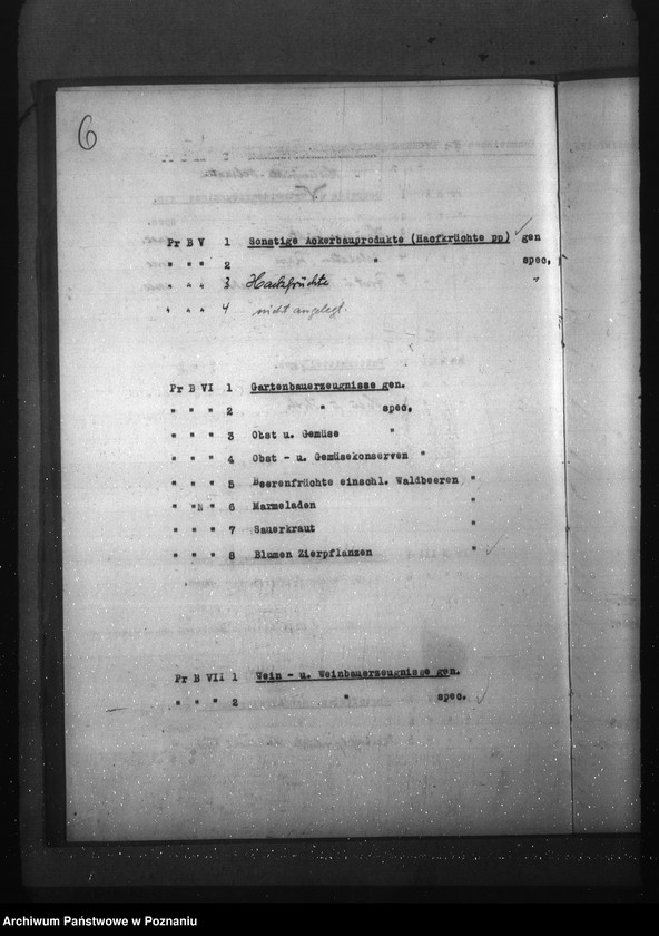 Obraz 10 z jednostki "Aktenplan der - Preisbildungsstelle"